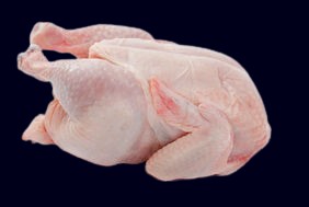 Poulet Carcasse